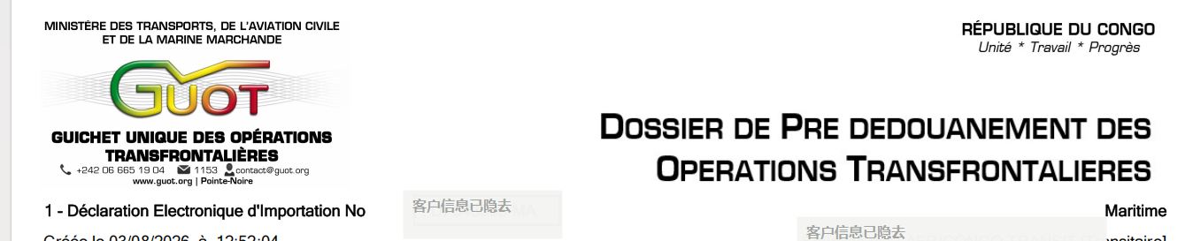 DI 进口申报单示例